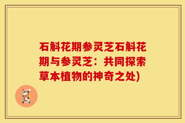 石斛花期参灵芝石斛花期与参灵芝:共同探索草本植物的神奇之处) 石斛花期参灵芝石斛花期与参灵芝:共同探索草本植物的神奇之处)