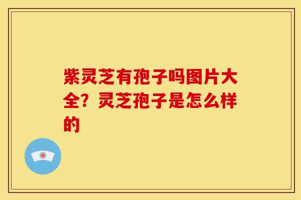 紫灵芝有孢子吗图片大全?灵芝孢子是怎么样的 紫灵芝有孢子吗图片大全?灵芝孢子是怎么样的