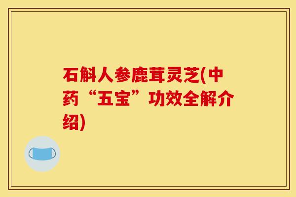 石斛人参鹿茸灵芝(“五宝”功效全解介绍) 石斛人参鹿茸灵芝(“五宝”功效全解介绍)