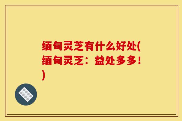 缅甸灵芝有什么好处(缅甸灵芝:益处多多!) 缅甸灵芝有什么好处(缅甸灵芝:益处多多!)