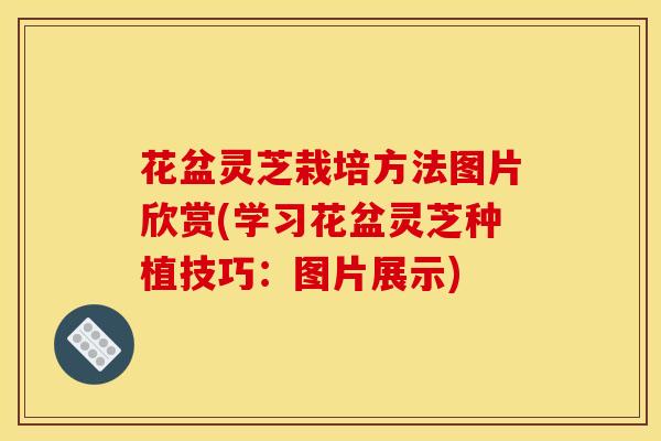 花盆灵芝栽培方法图片欣赏(学习花盆灵芝种植技巧：图片展示)