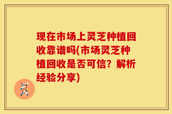 现在市场上灵芝种植回收靠谱吗(市场灵芝种植回收是否可信?解析经验分享) 现在市场上灵芝种植回收靠谱吗(市场灵芝种植回收是否可信?解析经验分享)