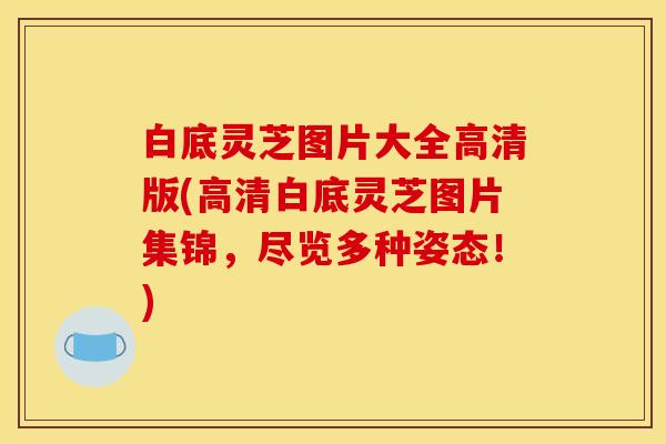 白底灵芝图片大全高清版(高清白底灵芝图片集锦,尽览多种姿态!) 白底灵芝图片大全高清版(高清白底灵芝图片集锦,尽览多种姿态!)