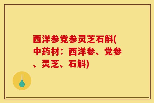 西洋参党参灵芝石斛(材：西洋参、党参、灵芝、石斛)