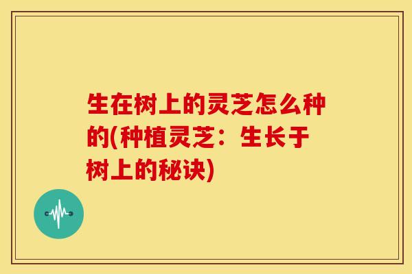 生在树上的灵芝怎么种的(种植灵芝:生长于树上的秘诀) 生在树上的灵芝怎么种的(种植灵芝:生长于树上的秘诀)
