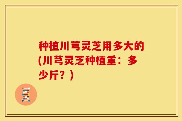 种植川芎灵芝用多大的(川芎灵芝种植重:多少斤?) 种植川芎灵芝用多大的(川芎灵芝种植重:多少斤?)