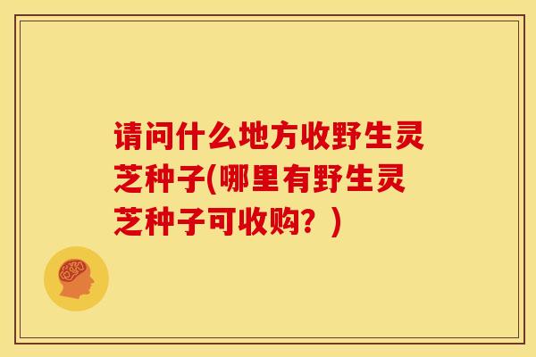 请问什么地方收野生灵芝种子(哪里有野生灵芝种子可收购?) 请问什么地方收野生灵芝种子(哪里有野生灵芝种子可收购?)