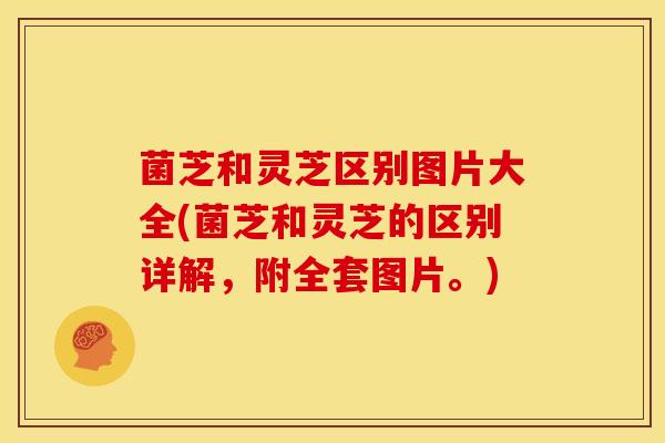 菌芝和灵芝区别图片大全(菌芝和灵芝的区别详解,附全套图片。) 菌芝和灵芝区别图片大全(菌芝和灵芝的区别详解,附全套图片。)