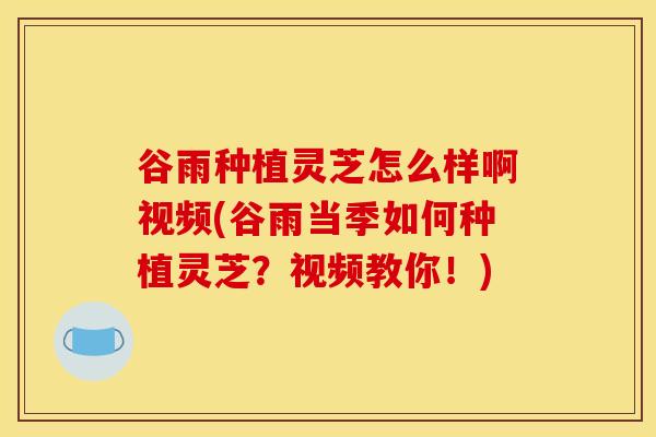 谷雨种植灵芝怎么样啊视频(谷雨当季如何种植灵芝?视频教你!) 谷雨种植灵芝怎么样啊视频(谷雨当季如何种植灵芝?视频教你!)