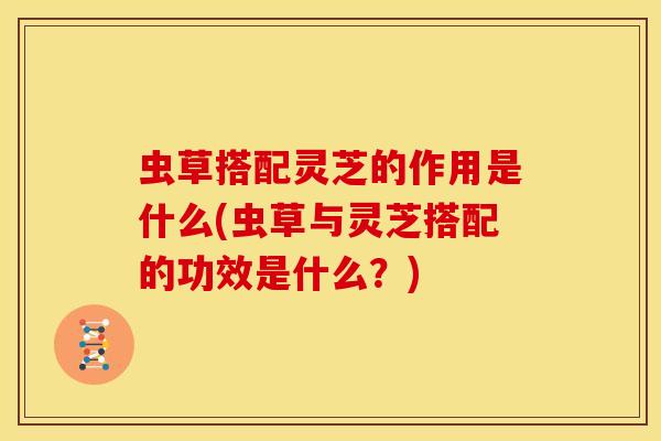 虫草搭配灵芝的作用是什么(虫草与灵芝搭配的功效是什么?) 虫草搭配灵芝的作用是什么(虫草与灵芝搭配的功效是什么?)