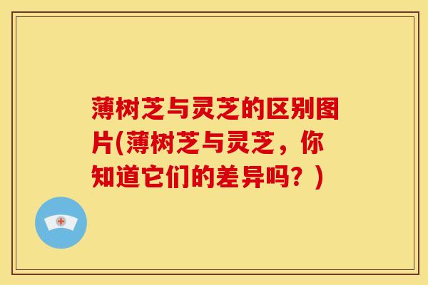 薄树芝与灵芝的区别图片(薄树芝与灵芝，你知道它们的差异吗？)