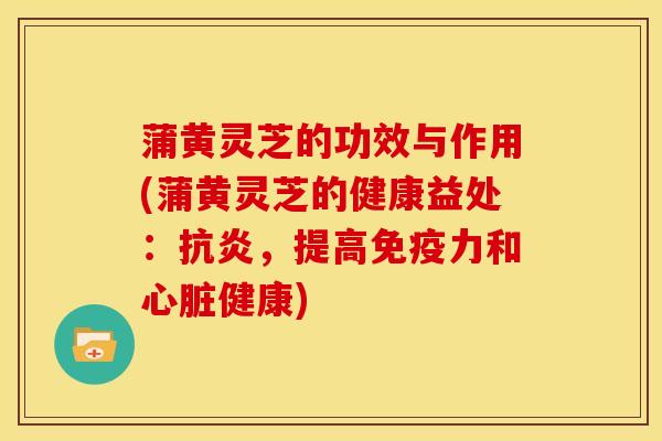 蒲黄灵芝的功效与作用(蒲黄灵芝的健康益处:,提高免疫力和健康) 蒲黄灵芝的功效与作用(蒲黄灵芝的健康益处:,提高免疫力和健康)