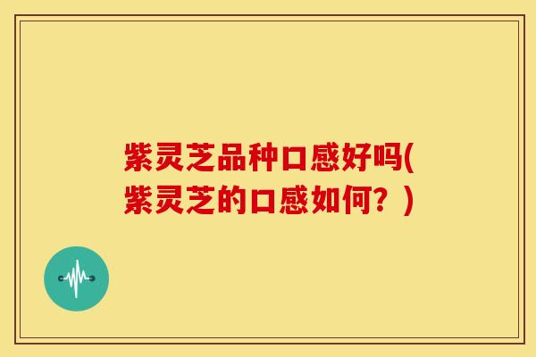 紫灵芝品种口感好吗(紫灵芝的口感如何？)