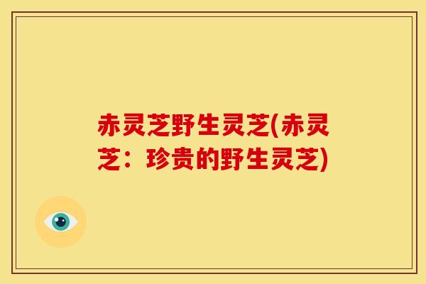 赤灵芝野生灵芝(赤灵芝:珍贵的野生灵芝) 赤灵芝野生灵芝(赤灵芝:珍贵的野生灵芝)