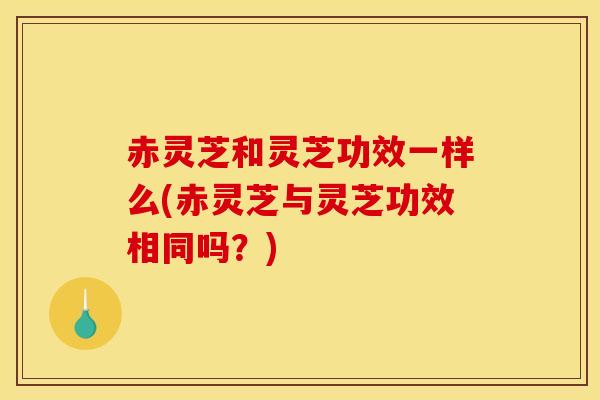 赤灵芝和灵芝功效一样么(赤灵芝与灵芝功效相同吗?) 赤灵芝和灵芝功效一样么(赤灵芝与灵芝功效相同吗?)