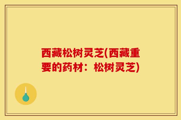 西藏松树灵芝(西藏重要的药材:松树灵芝) 西藏松树灵芝(西藏重要的药材:松树灵芝)