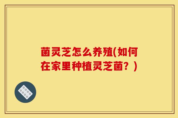 菌灵芝怎么养殖(如何在家里种植灵芝菌?) 菌灵芝怎么养殖(如何在家里种植灵芝菌?)