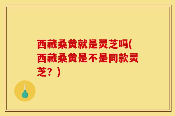 西藏桑黄就是灵芝吗(西藏桑黄是不是同款灵芝?) 西藏桑黄就是灵芝吗(西藏桑黄是不是同款灵芝?)