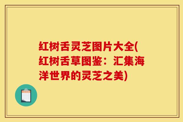 红树舌灵芝图片大全(红树舌草图鉴:汇集海洋世界的灵芝之美) 红树舌灵芝图片大全(红树舌草图鉴:汇集海洋世界的灵芝之美)