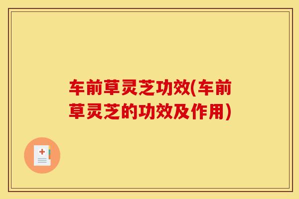 车前草灵芝功效(车前草灵芝的功效及作用) 车前草灵芝功效(车前草灵芝的功效及作用)