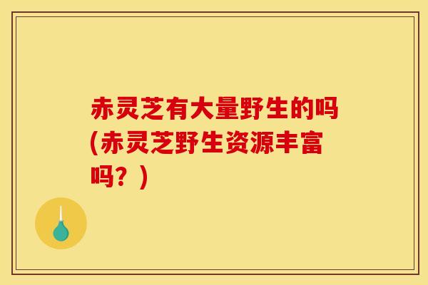 赤灵芝有大量野生的吗(赤灵芝野生资源丰富吗?) 赤灵芝有大量野生的吗(赤灵芝野生资源丰富吗?)