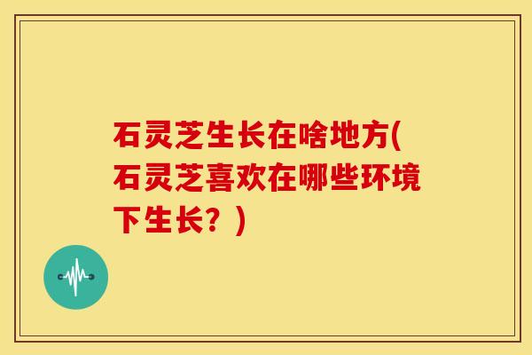 石灵芝生长在啥地方(石灵芝喜欢在哪些环境下生长?) 石灵芝生长在啥地方(石灵芝喜欢在哪些环境下生长?)
