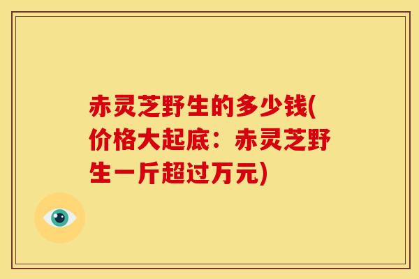 赤灵芝野生的多少钱(价格大起底：赤灵芝野生一斤超过万元)