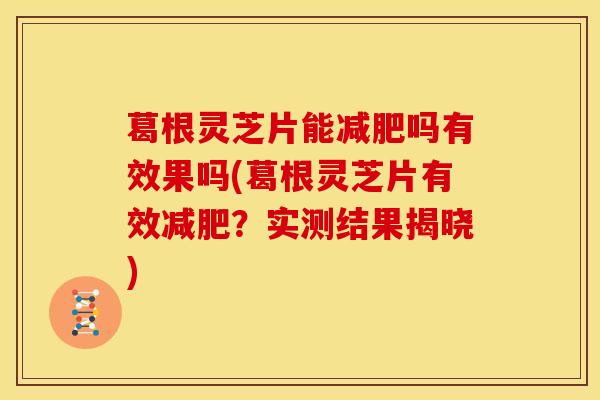 葛根灵芝片能吗有效果吗(葛根灵芝片有效?实测结果揭晓) 葛根灵芝片能吗有效果吗(葛根灵芝片有效?实测结果揭晓)