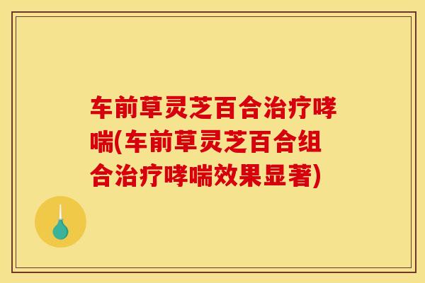 车前草灵芝百合(车前草灵芝百合组合效果显著)