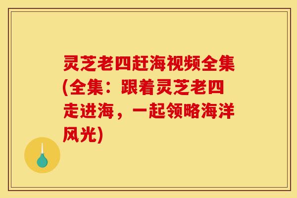 灵芝老四赶海视频全集(全集：跟着灵芝老四走进海，一起领略海洋风光)