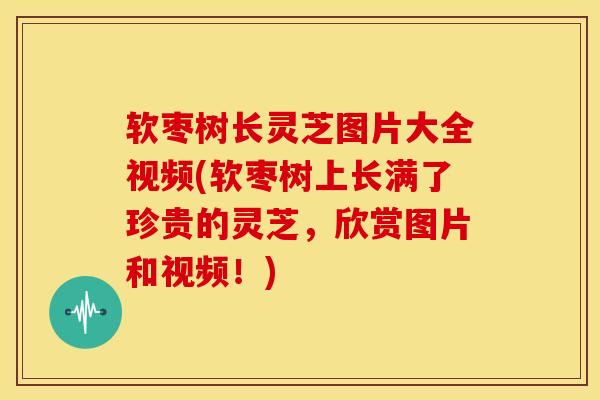 软枣树长灵芝图片大全视频(软枣树上长满了珍贵的灵芝,欣赏图片和视频!) 软枣树长灵芝图片大全视频(软枣树上长满了珍贵的灵芝,欣赏图片和视频!)