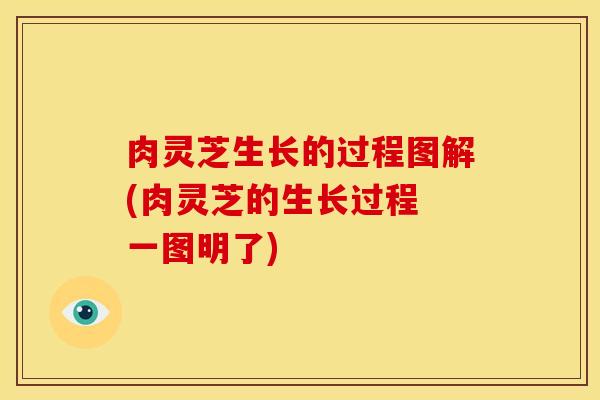 肉灵芝生长的过程图解(肉灵芝的生长过程 一图明了) 肉灵芝生长的过程图解(肉灵芝的生长过程 一图明了)