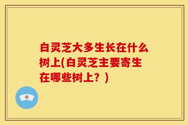 白灵芝大多生长在什么树上(白灵芝主要寄生在哪些树上？)