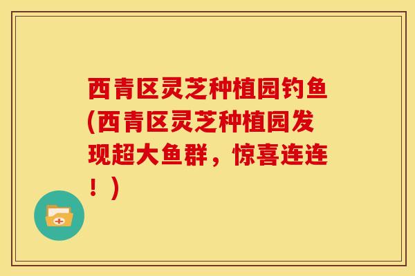 西青区灵芝种植园钓鱼(西青区灵芝种植园发现超大鱼群,惊喜连连!) 西青区灵芝种植园钓鱼(西青区灵芝种植园发现超大鱼群,惊喜连连!)