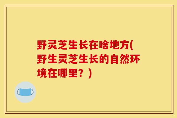 野灵芝生长在啥地方(野生灵芝生长的自然环境在哪里?) 野灵芝生长在啥地方(野生灵芝生长的自然环境在哪里?)