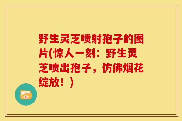 野生灵芝喷射孢子的图片(惊人一刻:野生灵芝喷出孢子,仿佛烟花绽放!) 野生灵芝喷射孢子的图片(惊人一刻:野生灵芝喷出孢子,仿佛烟花绽放!)