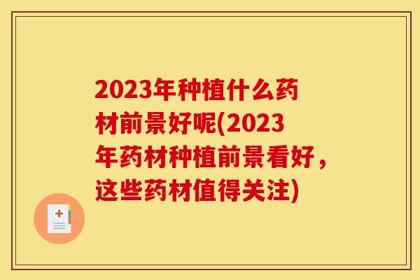 2023年种植什么药材前景好呢(2023年药材种植前景看好,这些药材值得关注) 2023年种植什么药材前景好呢(2023年药材种植前景看好,这些药材值得关注)