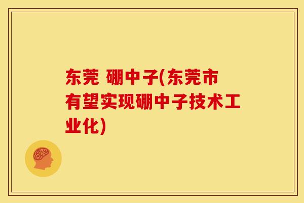 东莞 硼中子(东莞市有望实现硼中子技术工业化) 东莞 硼中子(东莞市有望实现硼中子技术工业化)