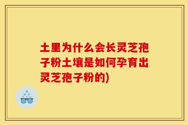土里为什么会长灵芝孢子粉土壤是如何孕育出灵芝孢子粉的) 土里为什么会长灵芝孢子粉土壤是如何孕育出灵芝孢子粉的)