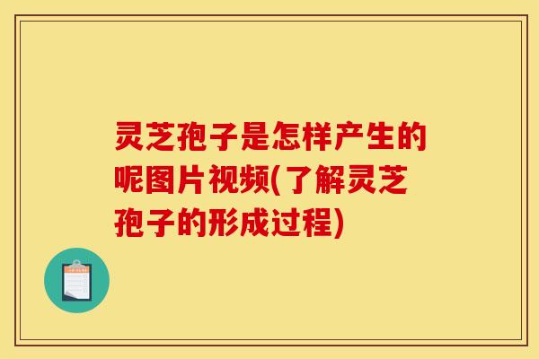 灵芝孢子是怎样产生的呢图片视频(了解灵芝孢子的形成过程) 灵芝孢子是怎样产生的呢图片视频(了解灵芝孢子的形成过程)