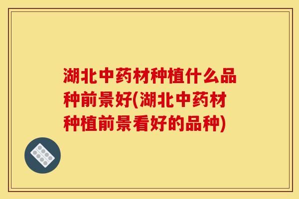 湖北材种植什么品种前景好(湖北材种植前景看好的品种) 湖北材种植什么品种前景好(湖北材种植前景看好的品种)