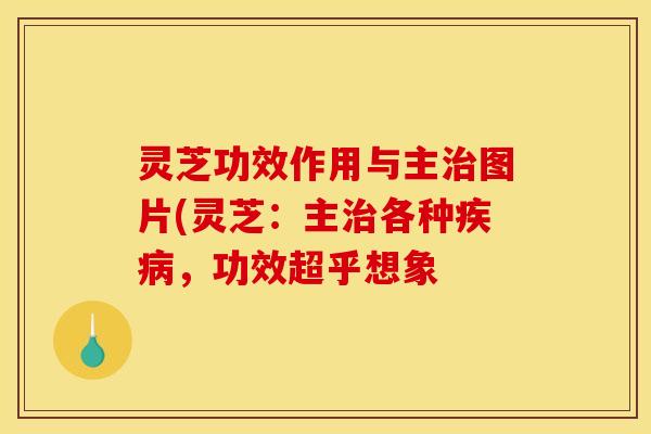 灵芝功效作用与主图片(灵芝:主各种,功效超乎想象 灵芝功效作用与主图片(灵芝:主各种,功效超乎想象