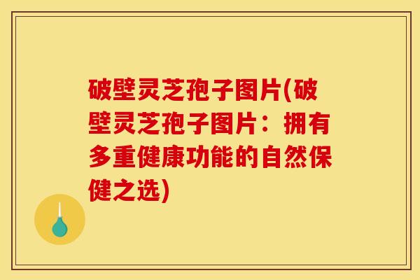 破壁灵芝孢子图片(破壁灵芝孢子图片:拥有多重健康功能的自然保健之选) 破壁灵芝孢子图片(破壁灵芝孢子图片:拥有多重健康功能的自然保健之选)