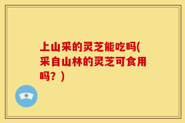 上山采的灵芝能吃吗(采自山林的灵芝可食用吗?) 上山采的灵芝能吃吗(采自山林的灵芝可食用吗?)