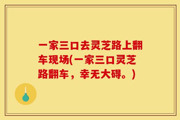 一家三口去灵芝路上翻车现场(一家三口灵芝路翻车，幸无大碍。)