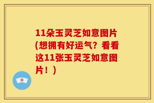 11朵玉灵芝如意图片(想拥有好运气?看看这11张玉灵芝如意图片!) 11朵玉灵芝如意图片(想拥有好运气?看看这11张玉灵芝如意图片!)