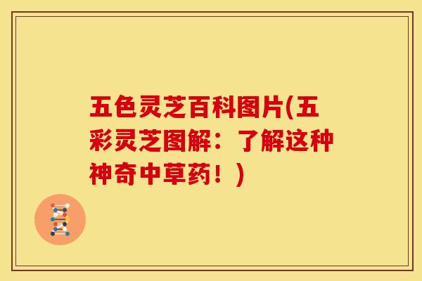 五色灵芝百科图片(五彩灵芝图解:了解这种神奇中草药!) 五色灵芝百科图片(五彩灵芝图解:了解这种神奇中草药!)