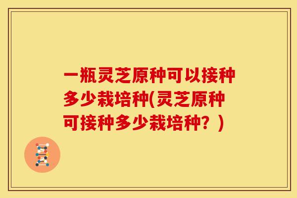 一瓶灵芝原种可以接种多少栽培种(灵芝原种可接种多少栽培种?) 一瓶灵芝原种可以接种多少栽培种(灵芝原种可接种多少栽培种?)