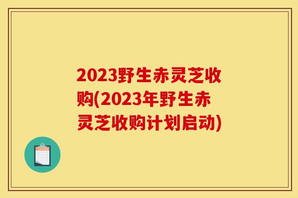 2023野生赤灵芝收购(2023年野生赤灵芝收购计划启动) 2023野生赤灵芝收购(2023年野生赤灵芝收购计划启动)