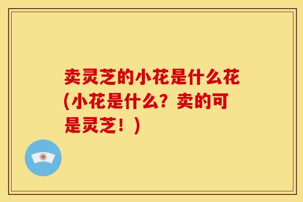 卖灵芝的小花是什么花(小花是什么？卖的可是灵芝！)